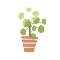 Fototapeta premium Chinese money plant pilea in ceramic pot. Cute skincare wellness element. Hand drawn vector in simple style