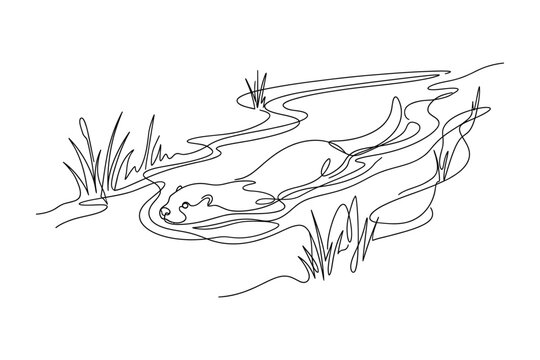 Web
