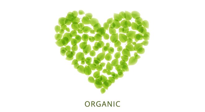 EcoLove Heart shape made of green leaves with organic, natural, and isolated on white.
