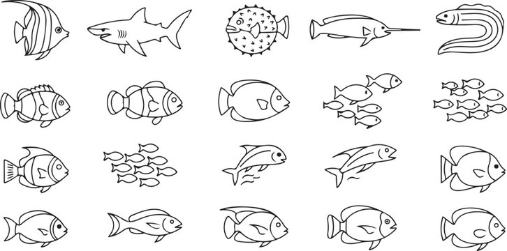 Ocean fish and sea creatures line drawings isolated on transparent background variety of fish types.