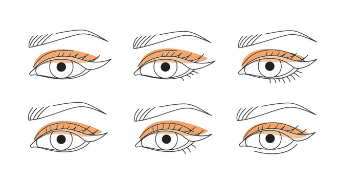 Vector line art collection of six female eye shape variations including hooded, almond, and monolid styles with arched eyebrows and minimalist orange eyeshadow accents on white background.