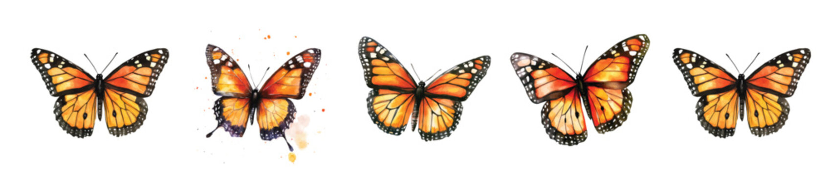 Design of a monarch butterfly painting. Hand-painted style, vectorized, vector set available in EPS Simple Hand-painted watercolor style. Hand-painted watercolor style, vectorized