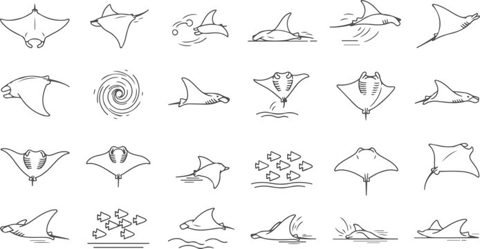 Detailed line art illustrations of various manta rays and stingrays in motion depicting oceanic ballet and underwater exploration.