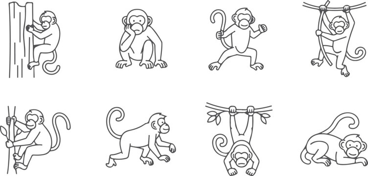 Set of playful monkey line drawings in various poses on a transparent background.