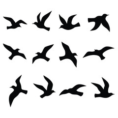 Obraz premium Black bird silhouettes in flight against a white background simple avian vector illustration