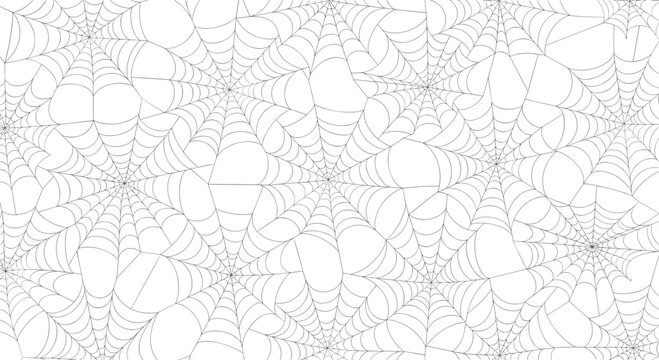 Intricate seamless pattern showing many interconnected spider webs in fine gray lines over a white background perfect for spooky halloween designs.