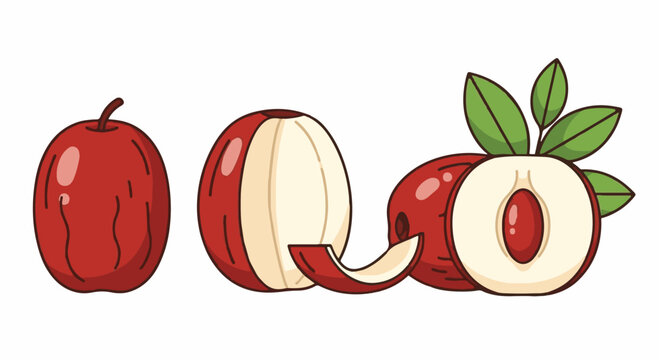 Vector illustration of fresh red jujube fruits featuring a whole fruit, a peeled slice, and a cross-section with a central pit and green leaves, isolated on a white background.
