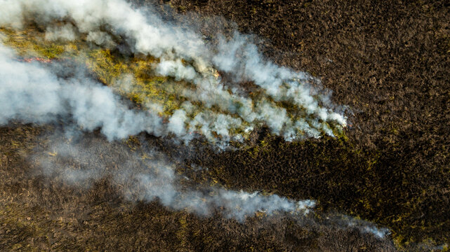 Aerial view of wildfire spreading through fynbos vegetation