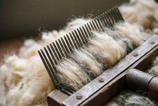 Hand wool carder combing raw sheep wool fibers in a traditional textile workshop.