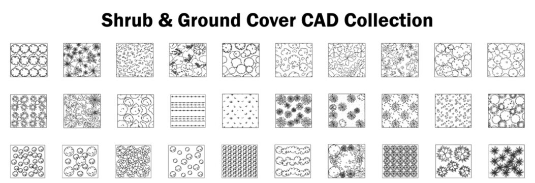 Shrub and Ground Cover CAD Collection Ornamental Bushes, Planting Patterns, Landscape Vegetation and Garden Coverage Designs &ndash; CAD Block Set Top View, Clean Thin Line Architectural Style