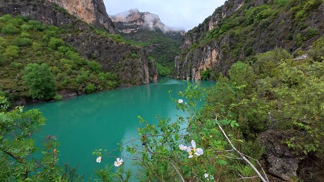 Stunning view of the entremon gorge in the pyrenees of spain, where the turquoise cinca river flows through mountains covered in lush greenery and morning fog under a cloudy sky