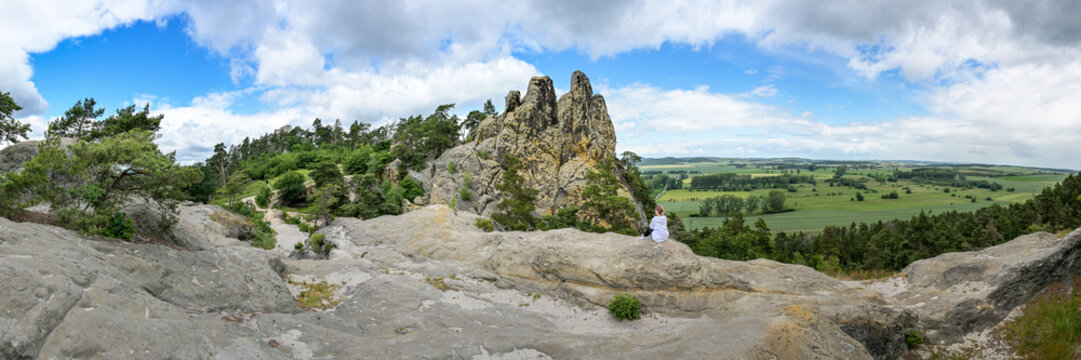 Landschaft Teufelsmauer / Hamburger Wappen im Harz
