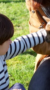 Young boy experiencing his first contact with a cute baby goat held in a woman's arms, creating a tender moment of connection between the child and the farm animal on a sunny day outdoors