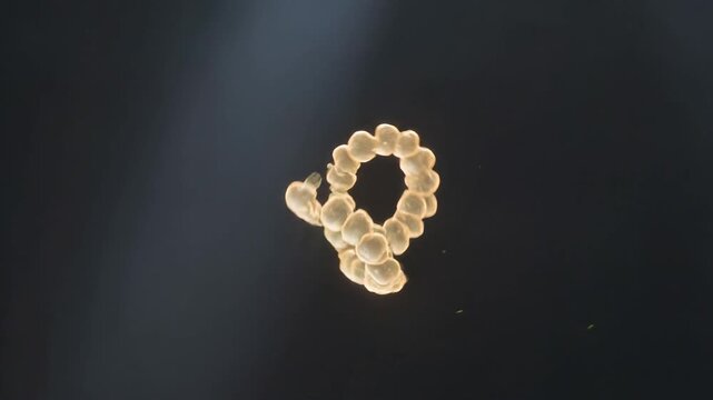 Abstract protein folding into 3D structure molecular biology animation
