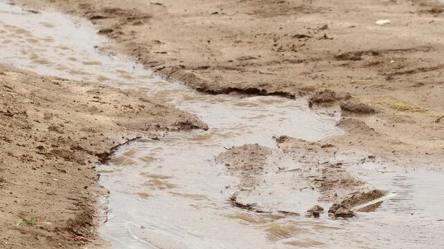 Water flows through a sandy terrain, creating a small stream with visible footprints leading towards the water, showcasing the interaction between land and liquid