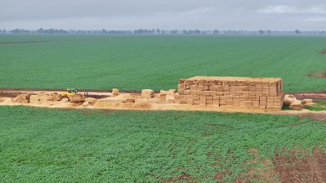 Telehandler ready to work beside stacked hay bales on rural farmland near Yarrawonga
