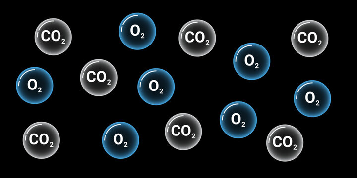 Oxygen and carbon dioxide molecules on a black background.