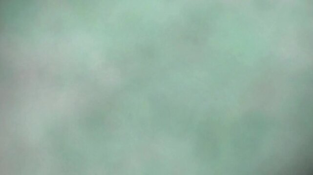 Ruby feathered branch ink diffusion blooming in water 4K loop