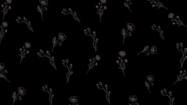 Seamless looping minimalist floral pattern animation with delicate line art wildflowers on a black background. Elegant botanical motion graphic for luxury, wedding, and feminine designs.