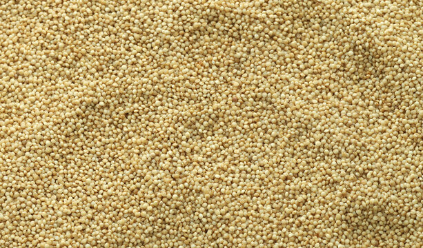 Detailed view on dry amaranth grains in big pile on table close up