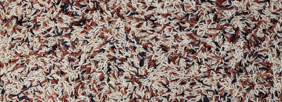 Colorful mix of assorted rice grains including brown, black, red and white varieties