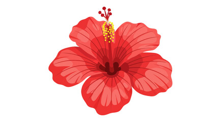 Red hibiscus flower in full bloom © doung