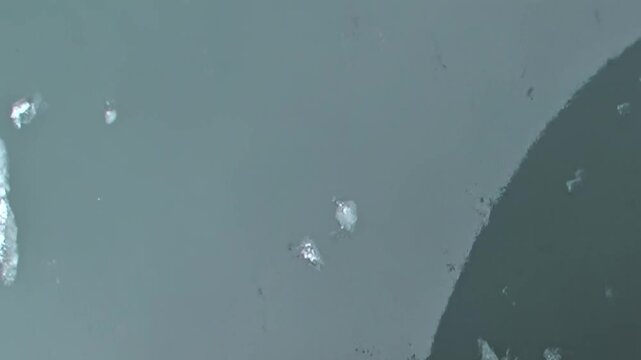 Observe stunning perspective of Arctic Ocean's icy expanse. Numerous brilliant ice floes glide gently on calm, cool waters, marking ship's majestic navigation through this pristine, remote wilderness.