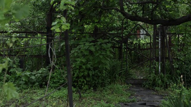 Overgrown garden gate with weathered stone path and lush green foliage