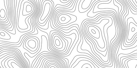 Minimalist abstract topographic contour lines, flowing organic curves, monochrome line art, clean seamless pattern, modern map-inspired design, white background. © Pixel Art Studio