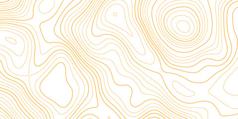 Minimalist abstract topographic contour lines, flowing organic curves, monochrome line art, clean seamless pattern, modern map-inspired design, white background. © Pixel Art Studio