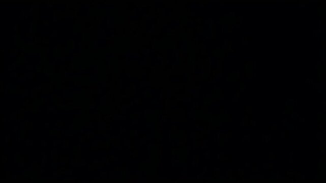 Mechanic silhouette holding glowing blank paper sign animation video showing professional worker character with wrench in dark purple studio space