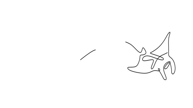 Animated self drawing of continuous line draw of  Line art manta ray. Logo. Full length one line animation. 4K	