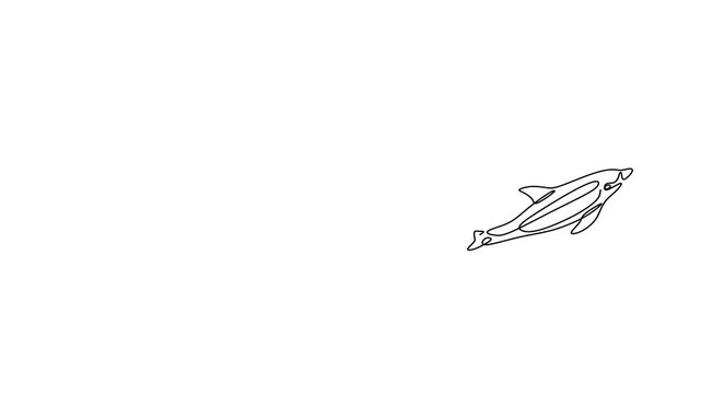 Animated self drawing of continuous line draw of  Dolphins Swimming and Leaping. Logo. Full length one line animation. 4K	