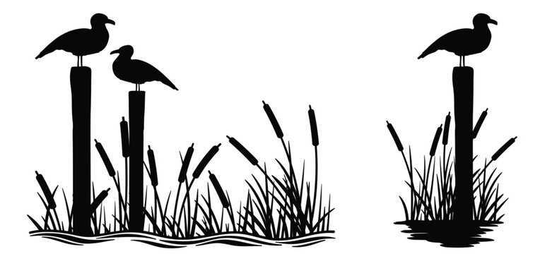 Lisdodde or typha latifolia It is an aquatic plant. Silhouettes of birds on wooden posts. Seagulls. They have long, narrow leaves, a straight stem, and a brown, cigar-shaped spadix.