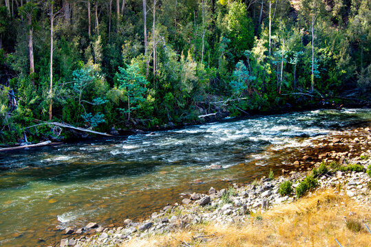 Nive River in the Central Highlands of Tasmania