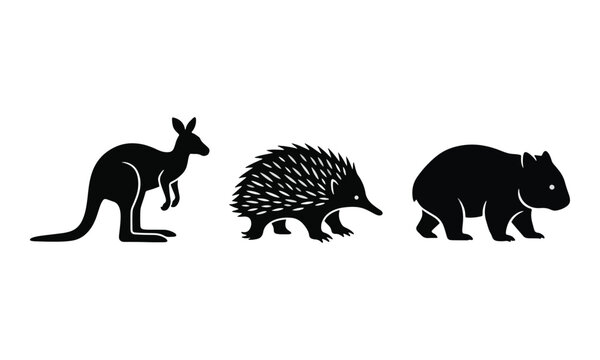 Australian Wildlife Silhouettes Kangaroo Echidna Wombat