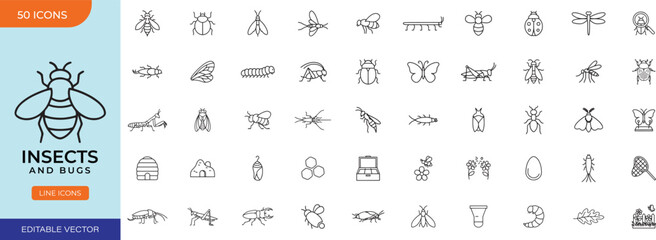 Insect Thin Line Icons Set Bug Wildlife Entomology and Pest Control Vector Collection © rs_studios