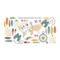 Bird Migration Study Illustration Elements. © Makdum