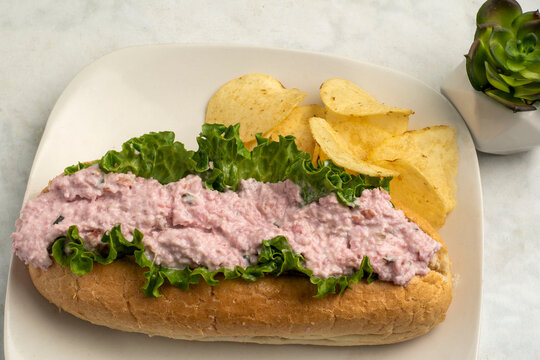 ham salad sub  served with potatoe chips