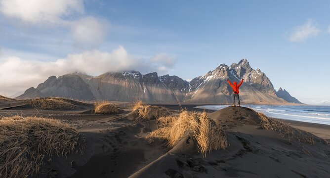 Man in red jacket stretches arms into the air, black lava beach, sandy beach, dunes with dry grass, mountains Klifatindur, Eystrahorn and Kambhorn, headland Stokksnes, mountain range Klifatindur, Austurland, East Iceland, Iceland