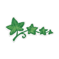 Obraz premium PNG Green ivy leaf watercolor illustration.