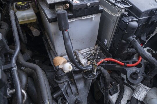 Engine compartment, engine of a passenger car with remains of prey of a stone marten (Martes foina), eggshells of chicken and pigeon, feathers of a small bird, Lower Saxony, Germany