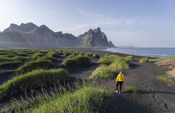 Young woman with rain jacket hiking, black lava beach, sandy beach, dunes with dry grass, mountains Klifatindur, Eystrahorn and Kambhorn, headland Stokksnes, mountain range Klifatindur, Austurland, East Iceland, Iceland