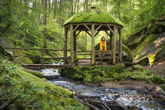 Hiker in the pavilion, the Moosalb stream in the forest in the Karlstal Gorge. Karlstal Gorge nature reserve, Karlstal, Palatinate Forest, Rhineland-Palatinate, Germany