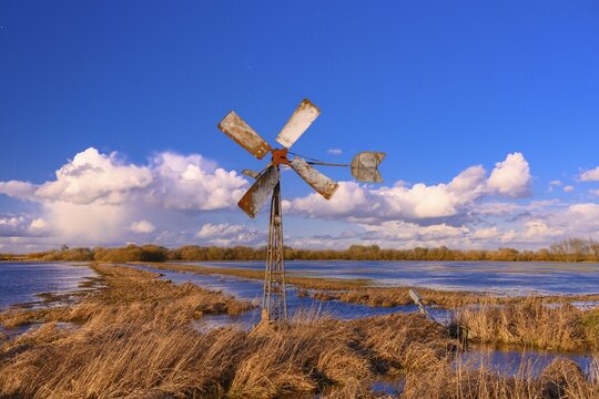 Windmill at the edge of a wet meadow in the Ochsenmoor at Lake D&uuml;mmer, scoop wheel, spring, expanse, H&uuml;de, Lower Saxony, Germany