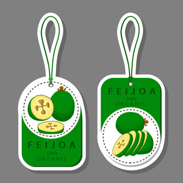 Fruit theme from set juicy delicious feijoa of various sizes