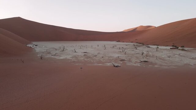 Aerial view of the deadvlei, with ancient dead trees, surrounded by massive red sand dunes, sossusvlei, namibia