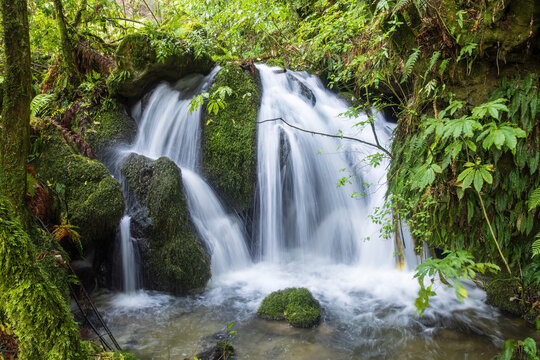 A beautiful waterfall cascades over mossy rocks in the New Zealand forest. Te Wairoa Stream, NZ 