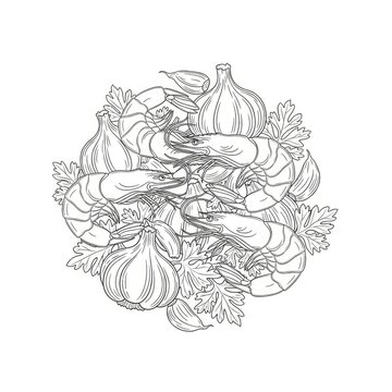 Hand Drawn Sketch of Shrimp and Garlic with Parsley.
