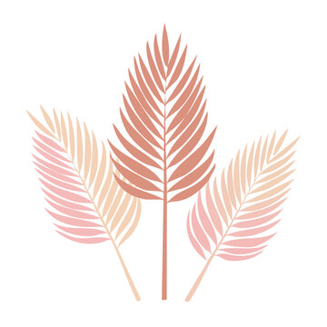 Flat Design Tropical Palm Leaves Illustration